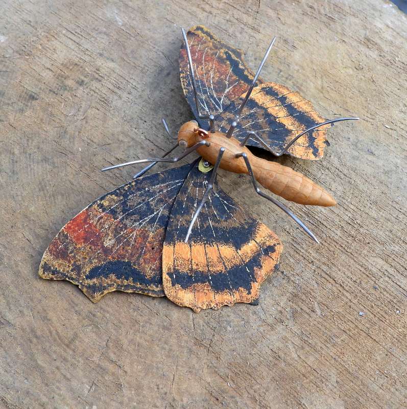 Large Tortoiseshell